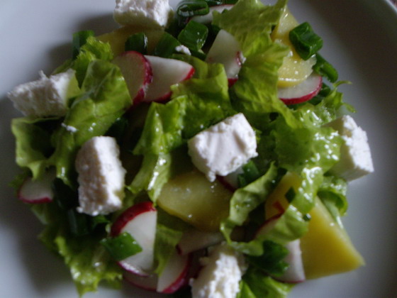 kartofeljnij salat s brinzoj i rediskoj
