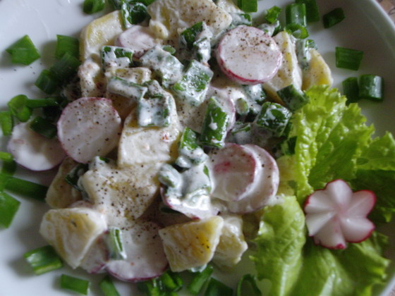 salat iz kartowki, rediski i zelenogo luka